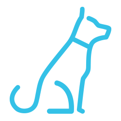 Dogs