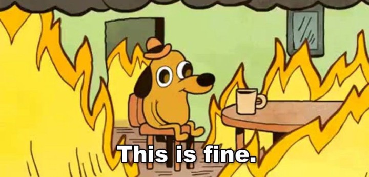 this is fine meme