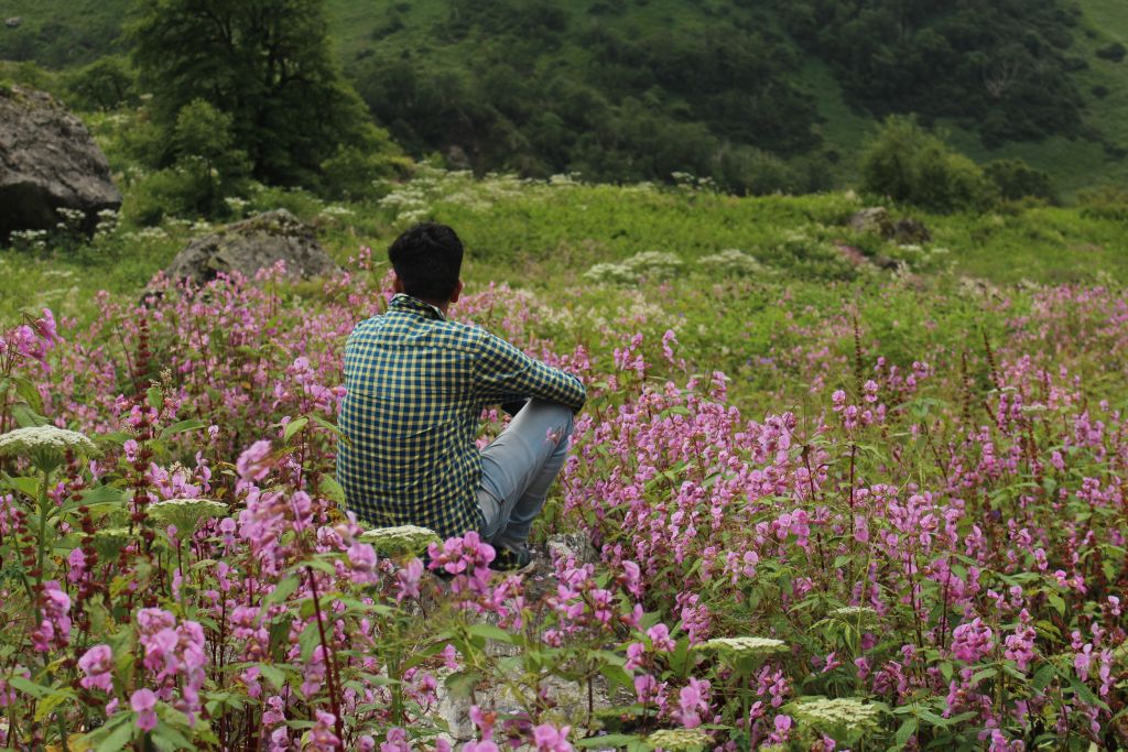Valley of Flowers Best Time Himalayan Climber