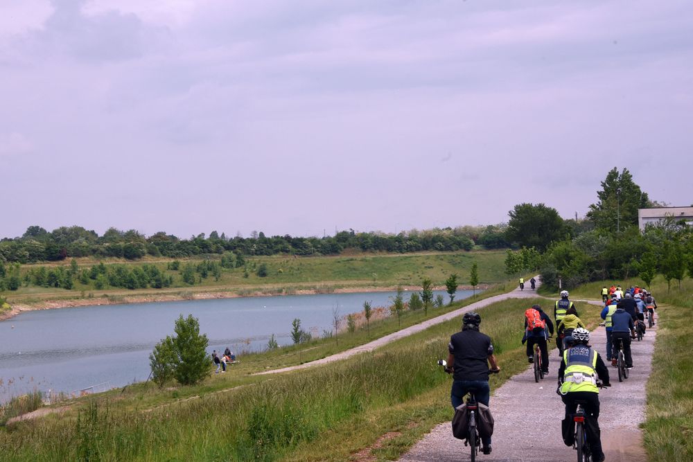 Gruppo in bicicletta su pista ciclabile nel verde
