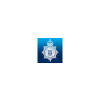 British Transport Police British Transport Police