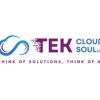 Tek CloudSoul Ltd