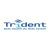 Trident International Associates