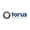 Torus Surveyors