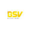 BSV Recruitment Ltd