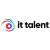 IT Talent Solutions IT Talent Solutions