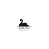 Black Swan International Ltd