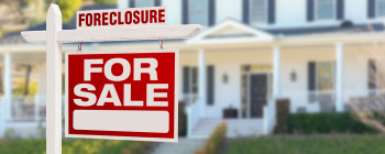 Tamara Bridal S Last 10 Newsletters Hippocontact