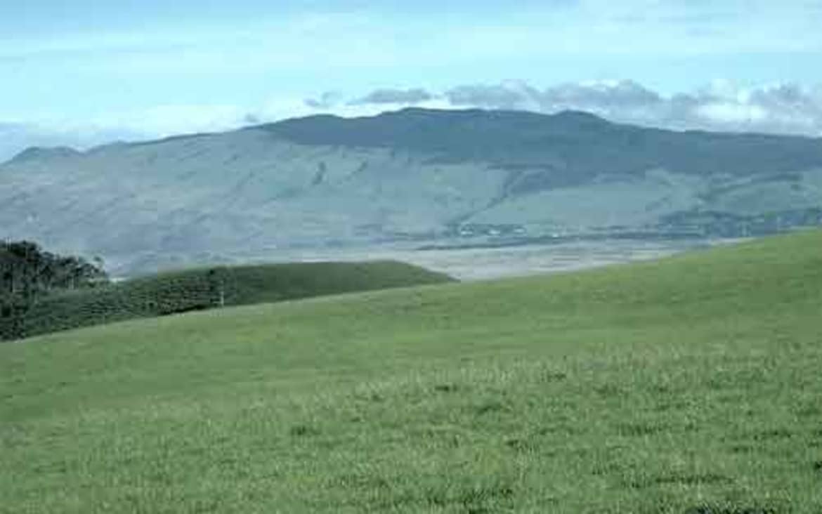 It is already extinct but its rich history still fascinates tourists who wonder how this volcano reduced it summit by 1,000 meters over the centuries Kohala volcano in hawaii