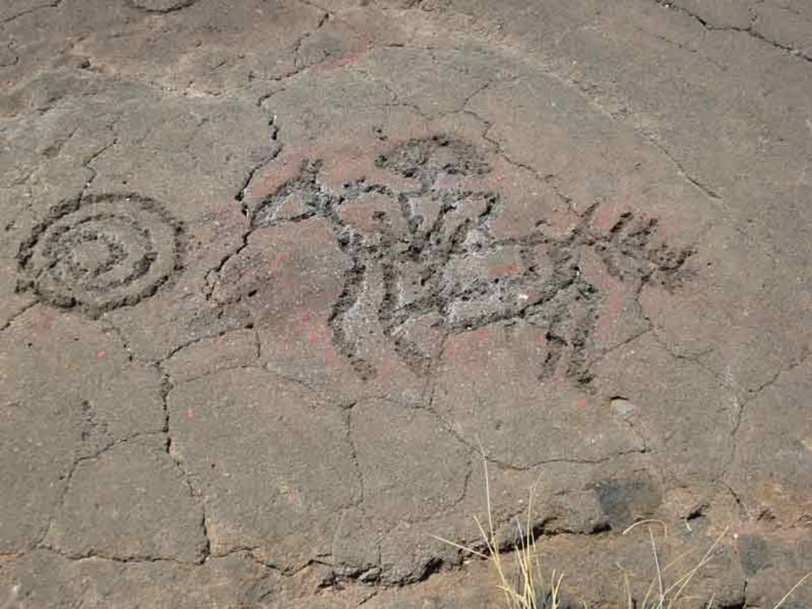 See the ancient rock drawings to travel back throughout the Hawaiian history, for free! Hawaiian petroglyphs