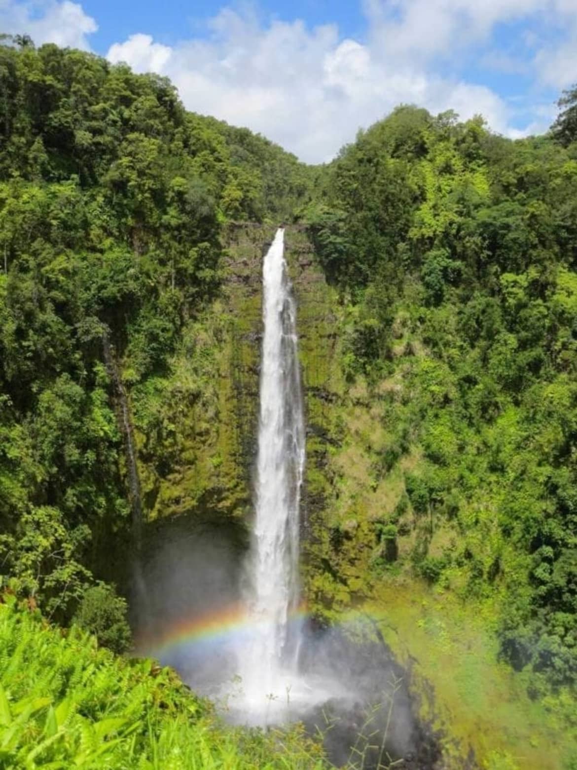 Akaka falls - hawaii island recovery excursion