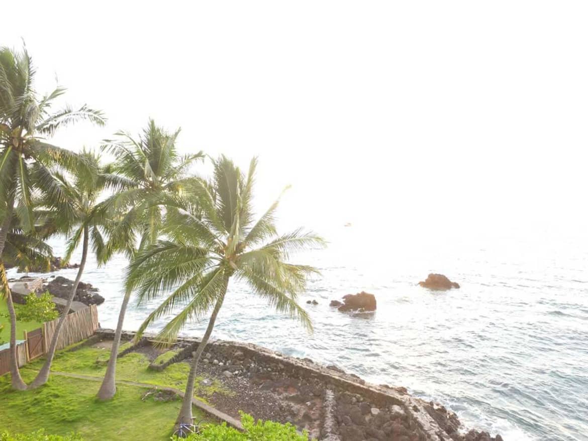 Honaunau national park - hawaii island recovery excursion