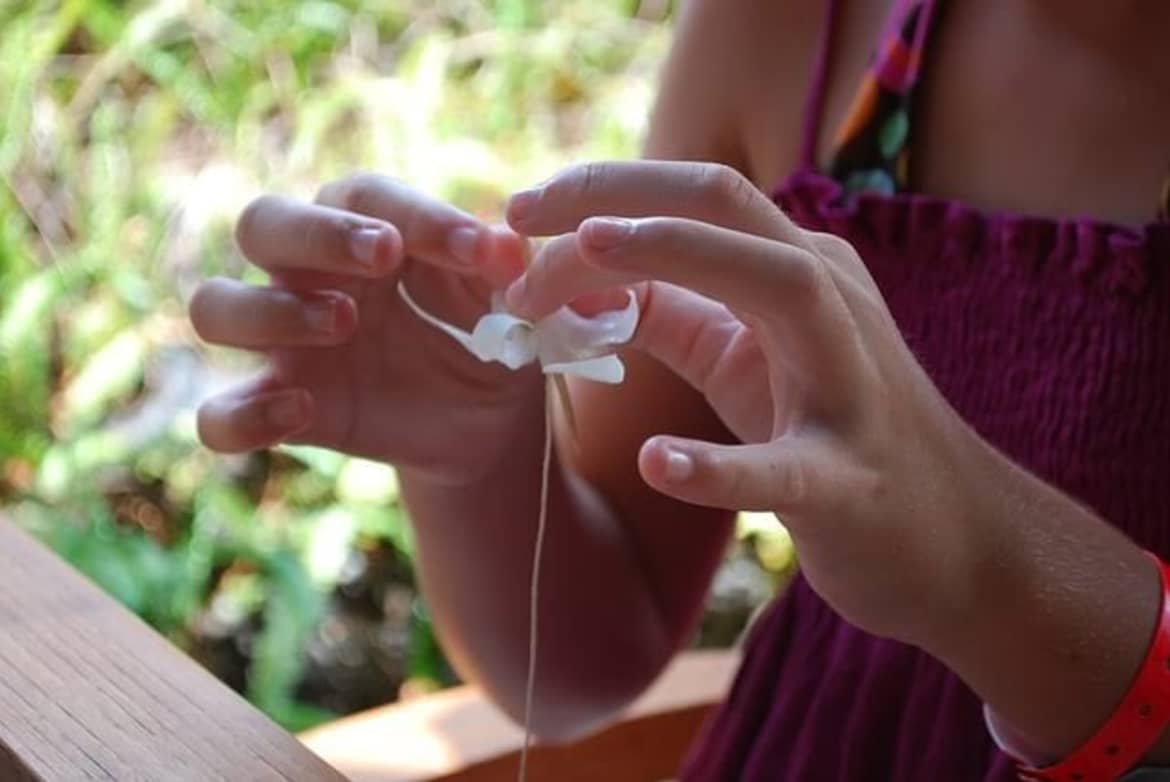 Unfortunately, other harder drugs also see their fair share of use in the Aloha State. Aloha state