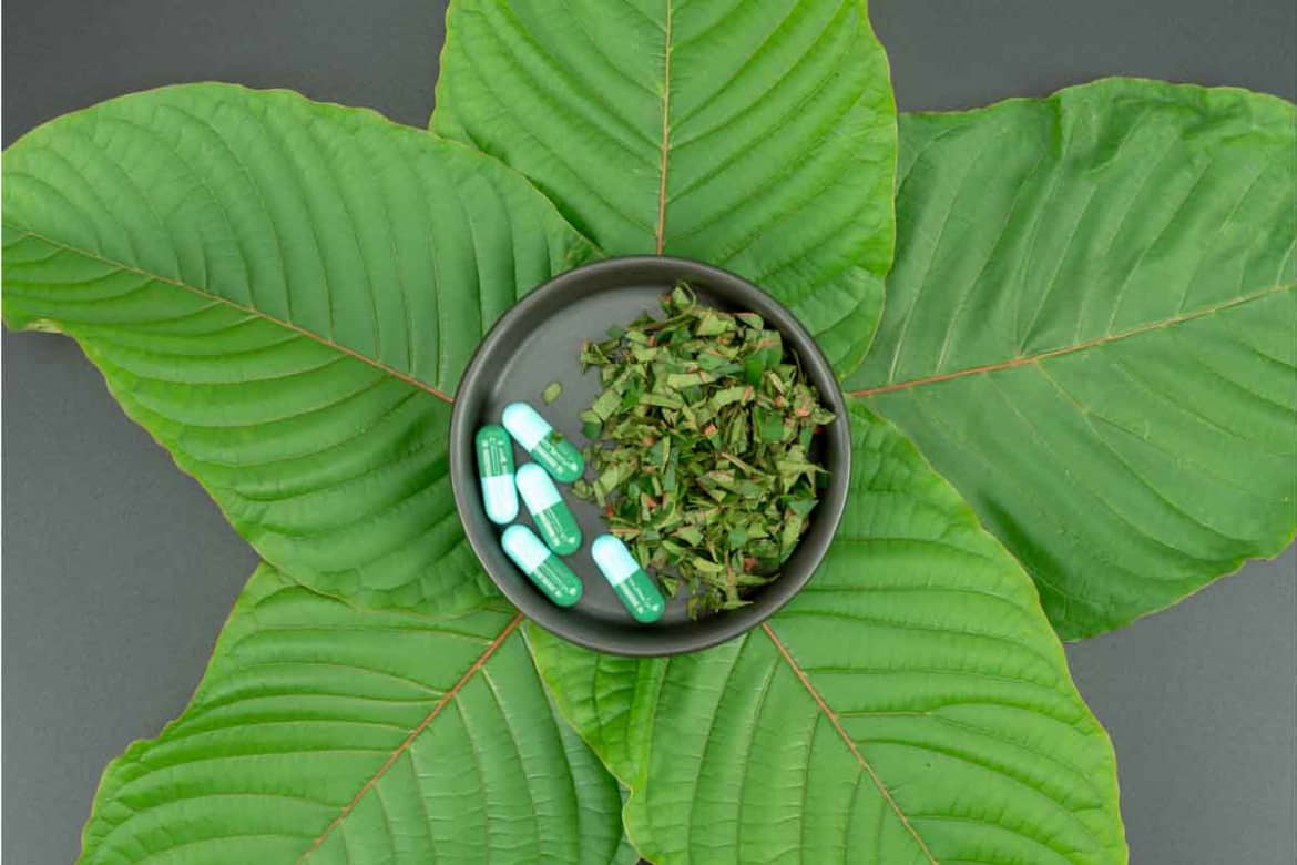 Kratom is an herb extracted from the leaves of kratom trees in Southeast Asia. It usually comes in a powdered form either on its on or inside of capsules. What is Kratom