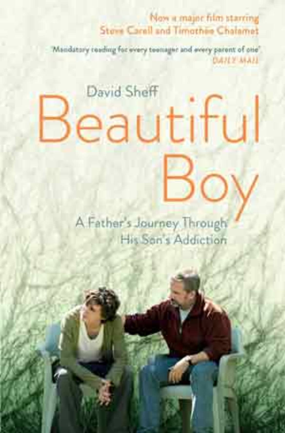 Beautiful Boy: A Father’s Journey Through His Son’s Addiction - David Sheff Beautiful boy - book