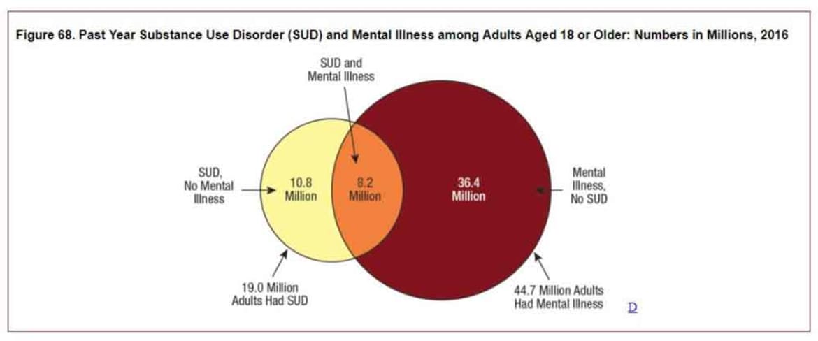44.7 million adults in the United States live with some type of mental illness. 19 million have a substance use disorder. Of these 63.7 million people, 8.2 million have both a mental illness and a substance use disorder, or dual diagnosis. Substance use disorder graph