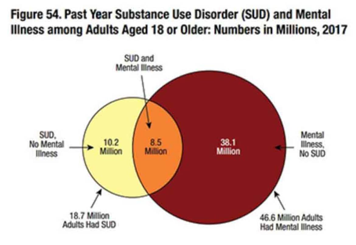 45 % of the people with a substance use disorder also have a co-occurring mental health disorder or dual diagnosis. Mental health disorder statistic