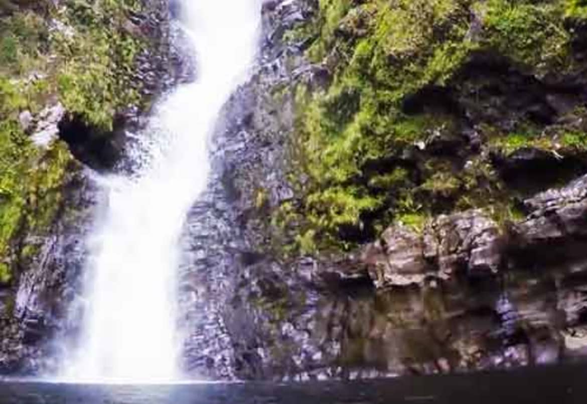 If you want to swim at the base of a breathtaking waterfall, you can’t miss Moa’ula Falls. Moaula falls