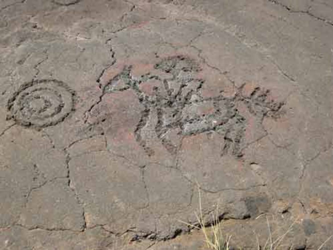 The Puakō Petroglyph and Waikoloa Petroglyph Fields house some incredible ancient rock carvings made from stone with a chisel and hammer, or petroglyphs. The puakō petroglyph