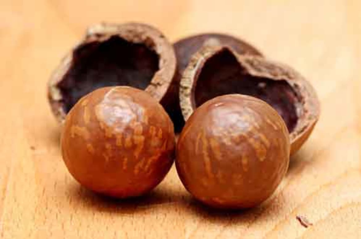 As you might guess by its name, Hamakua Macadamia Nut Co. is one of the markets on the Big Island specializing in macadamia nuts. Macadamia nut | hawaii