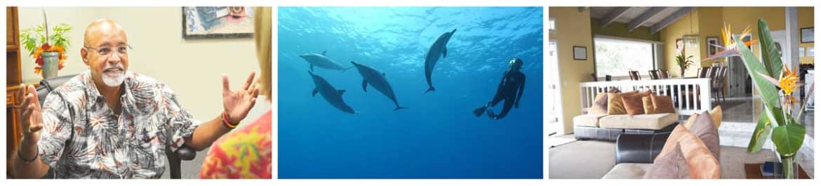 Read more about Hawaii Island Recovery and it's services About Hawaii Island Recovery