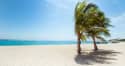 Participating in Nature-Based Experiential Therapy At Hawaii Island Recovery