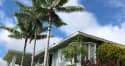 Ancillary Medical Services at Hawaii Island Recovery