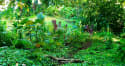 Experiential Therapy Programs at Hawaii Island Recovery