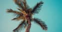 Premier Drug Rehab in Hawaii: Aetna Insurance Accepted for Addiction Treatment