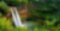 Rehab Blog, News & Press Releases