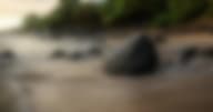 Transformative Experiential and Cultural Programming at Hawaii Island Recovery