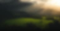 Veterans and Gambling Addiction: The Connection and Treatment Options