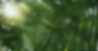 60 Days No Alcohol: Top 10 Benefits of Being Alcohol-Free for 60 Days and Beyond