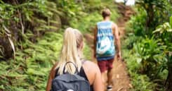 Medicine Walks and Hikes At Hawaii Island Recovery