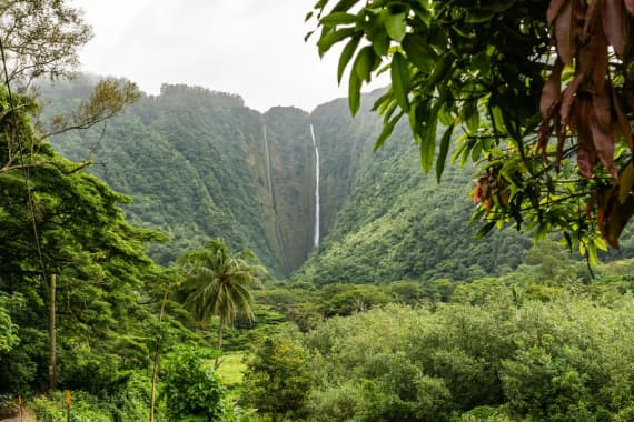A man contemplates the Hawaiian nature while going through outpatient drug treatment