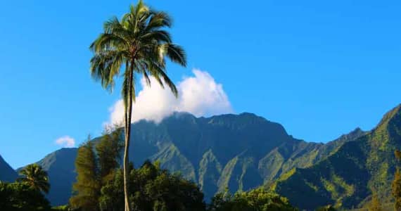 Why you should visit kauai today