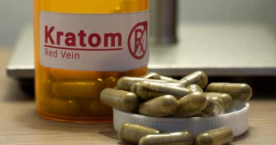 Kratom: all you need to know