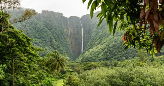 A man contemplates the Hawaiian nature while going through outpatient drug treatment