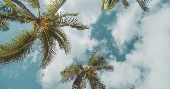 Comprehensive Pain Management Programs at Hawaii Island Recovery