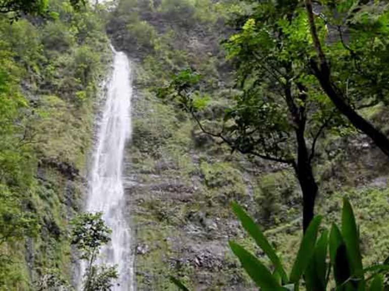 Waimoku falls in Hawaii