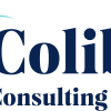 Colibri Consulting Group