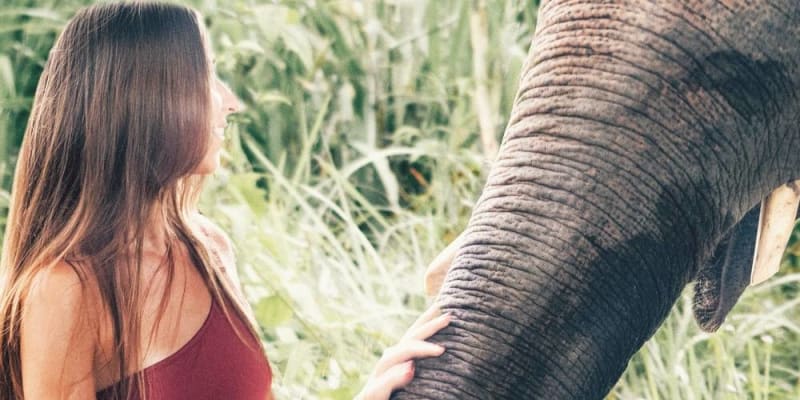 természetvédelmi nyaralás