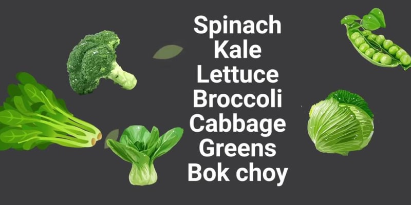 fatty liver cleansing