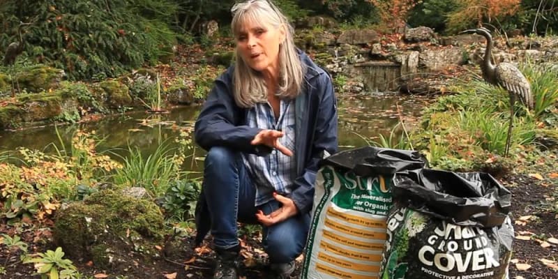 Top kertészeti tippek kezdőknek