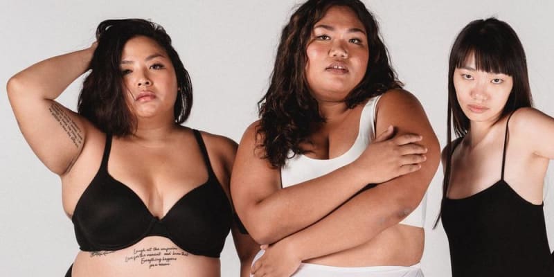 Mi a zsírelfogadás