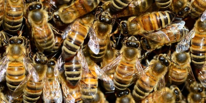 technológiai megoldás