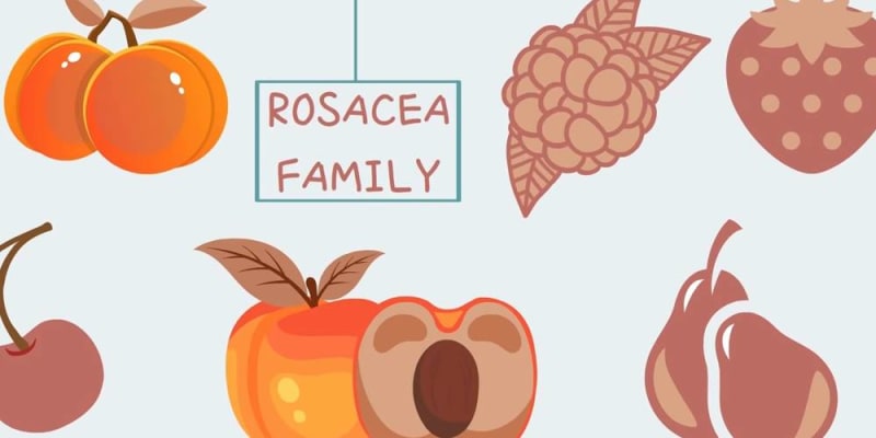 hypothyroid diet tips