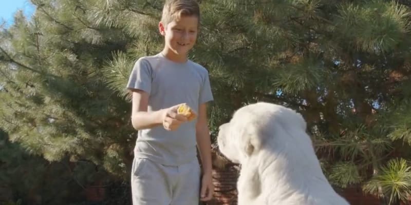 businesses for kids to make money