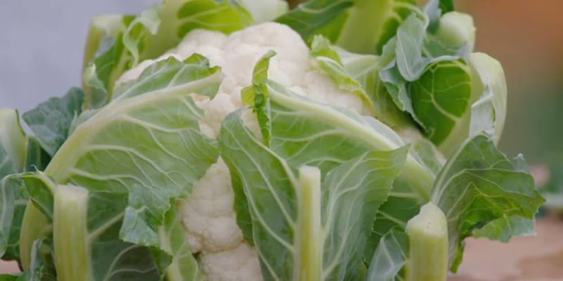 pasta with cauliflower 