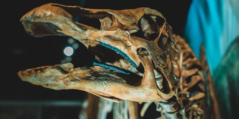 időszakos kiállítás